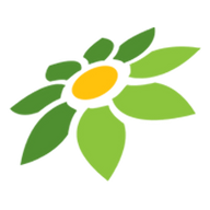 LINK ASIAJP